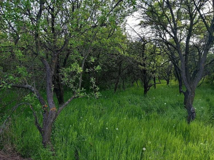 Vand Teren Tufeni - 4