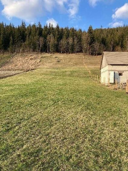 Teren de 3000 mp, în Frumoasa