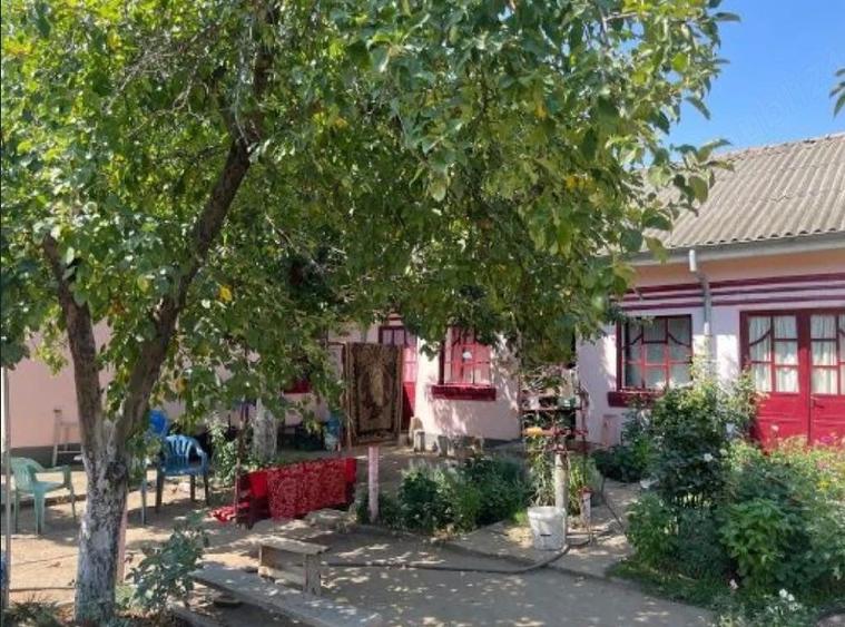 Casa de vanzare - 3