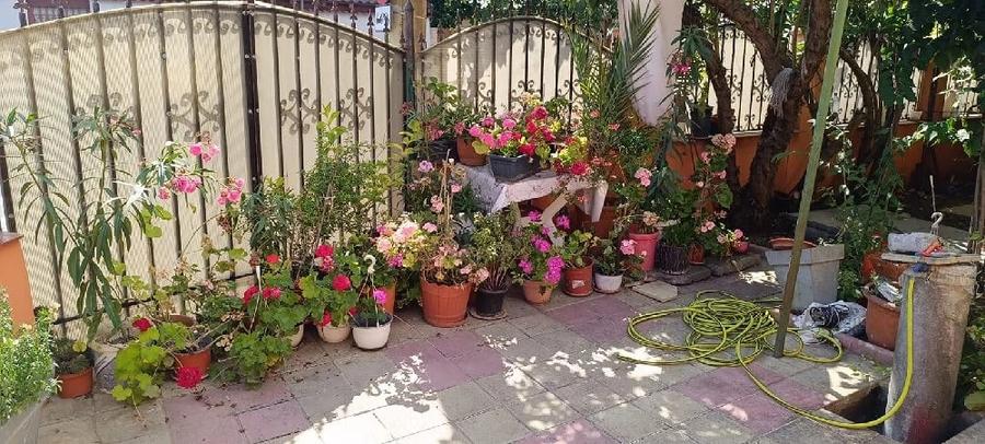 Casă cu Teren 200 Mp în Viile Noi