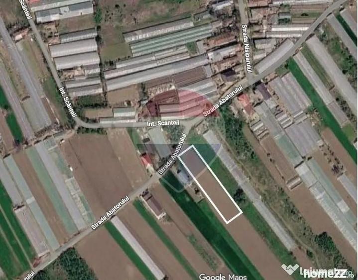 Teren intravilan | Campurelu, Giurgiu | Oportunitate de I... - Campurelu (Giurgiu) - 3