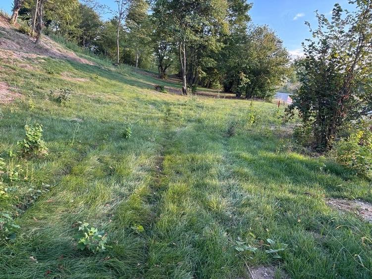 Teren de 1000 mp, în Făget