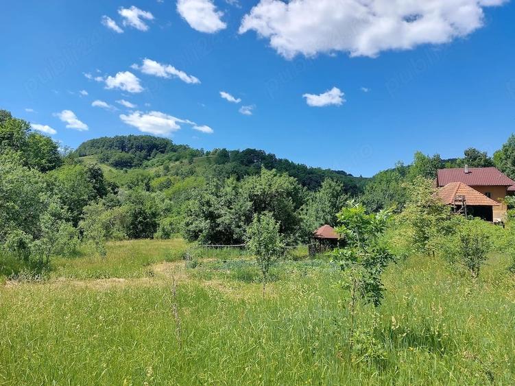 Casă cu Teren 4811 Mp în Peștera (Băița)