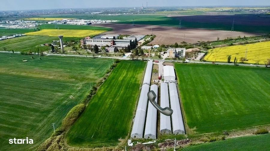 Spațiu comercial, de 10,000 mp, în Horia