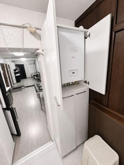 Apartament cu 2 camere decomandat în Rovine