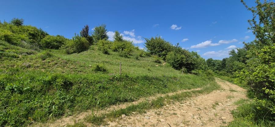 Teren agricol extravilan de 7800 mp, în Tohanu Nou