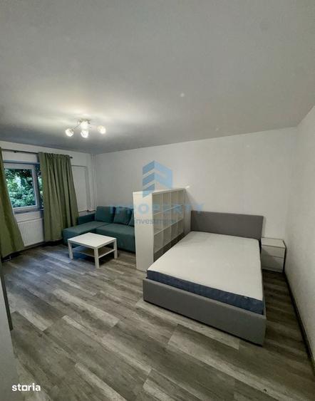 Garsoniera Piata Muncii 8 min Metrou Cat friendly - 2