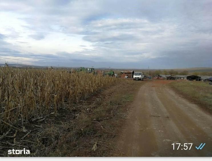 Teren de 10000 mp, în Vest