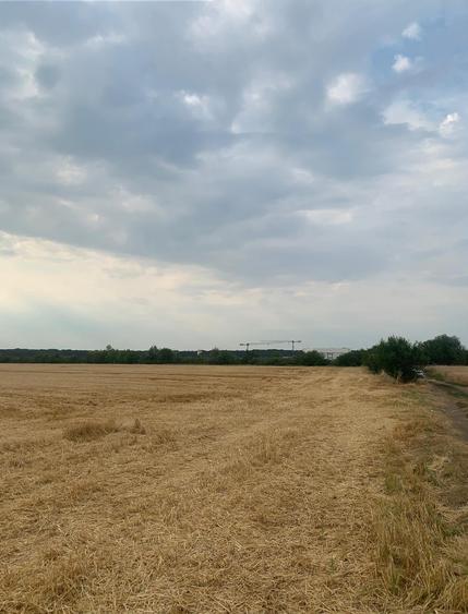 Teren Construcții intravilan de 30000 mp, în Ștefăneștii de Jos