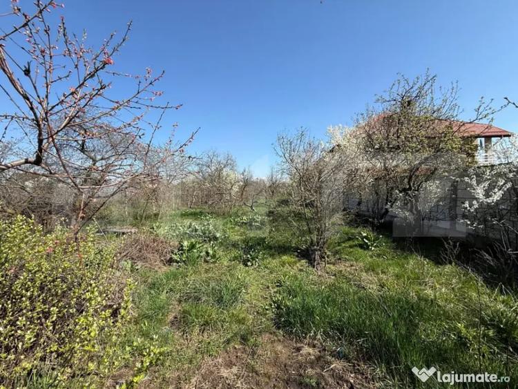 Casă cu 3 camere cu Teren 2800 Mp în Păulești