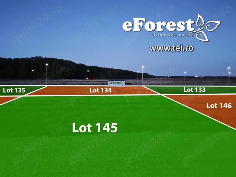 Loturi intravilane, la liziera cu padurea - se poate construi imediat! - 1