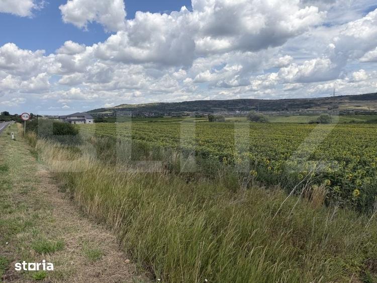 Teren de 11500 mp, în Bobota