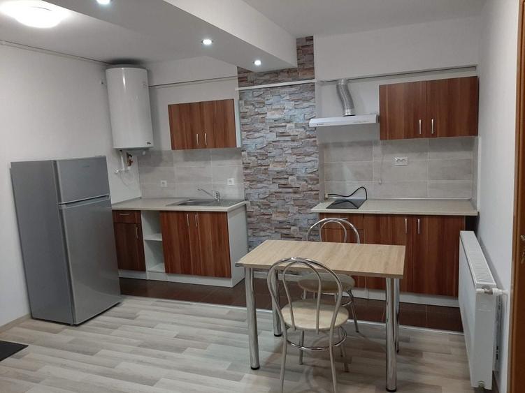 Apartament cu 2 camere decomandat în Dosu Bricii