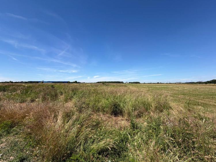 Teren 3550 mp, oportunitate investi?ie, zona Carcea - apro - 1