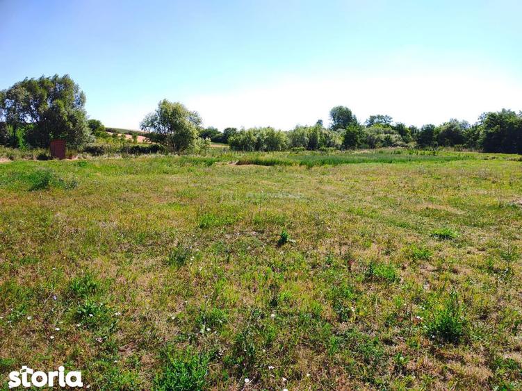 Teren de 18247 mp, în Chișlaz