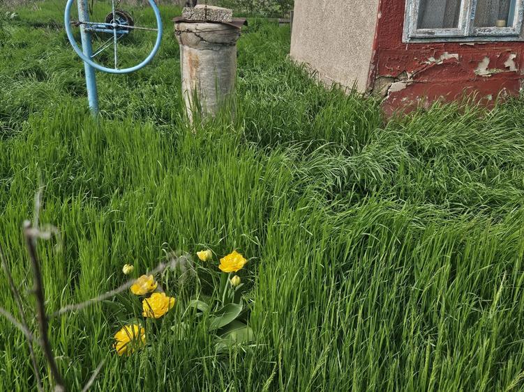 Casă cu 2 camere în Schela