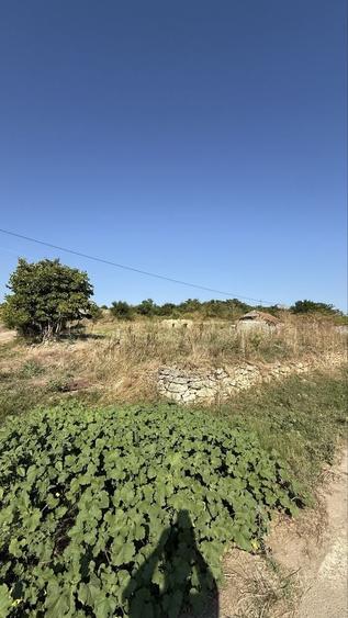 Casă cu 2 camere în Cotu Văii