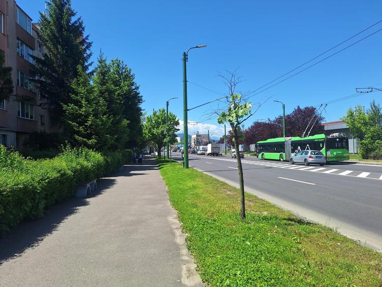 Spatiu Comercial | Brasov | Str. Harmanului | Lidl - 7