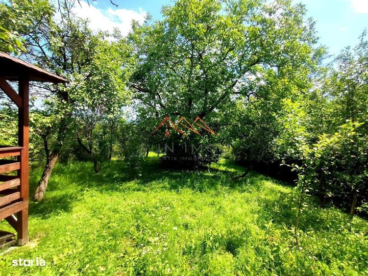 Casă cu 3 camere în Poiana