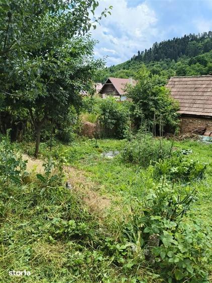 Teren de 5600 mp, în Vest