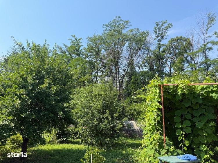 Casă cu 3 camere în Berceni