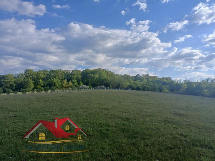 Teren agricol extravilan de 2500 mp, în Bradu
