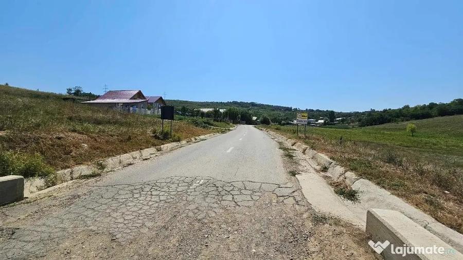 Teren 2.340mp, Dancas Miroslava, - 3