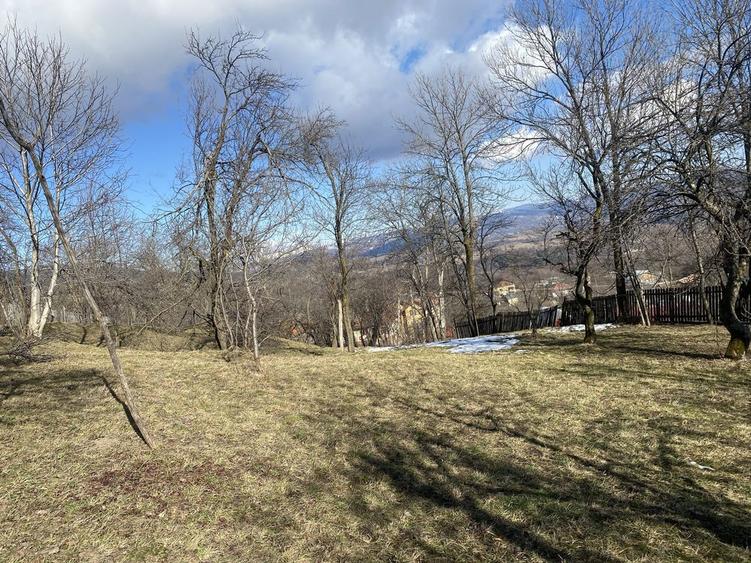 Teren de 2500 mp, în Talea