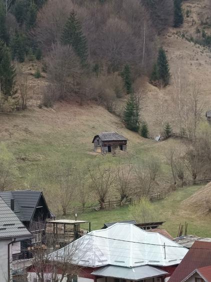 Teren intravilan - 3