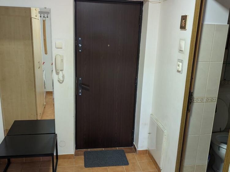 Muncii mieilor vatra luminoasa etaj 6 - 4