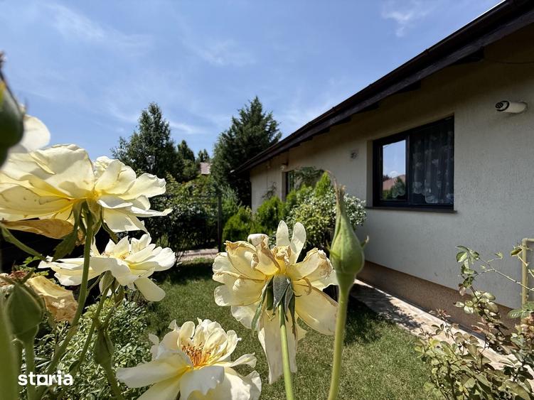 Casă cu 4 camere cu Teren 600 Mp în Balotești