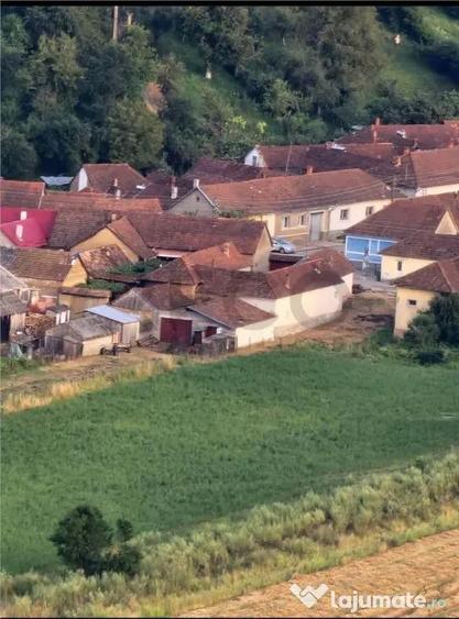 RECO Casa cu teren in Suncuius de Beius - 1