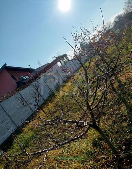 Teren Construcții intravilan de 1200 mp, în Cornetu