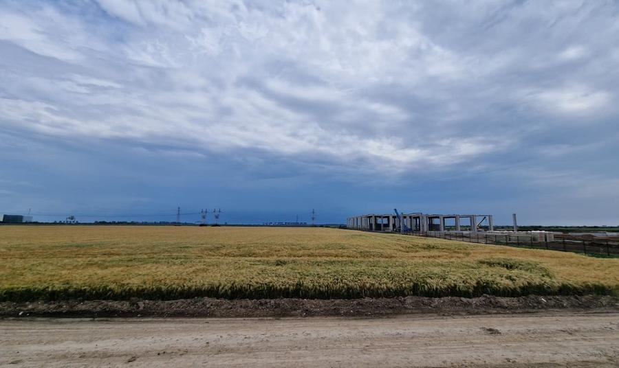 Teren Construcții intravilan de 30000 mp, în Ștefăneștii de Jos