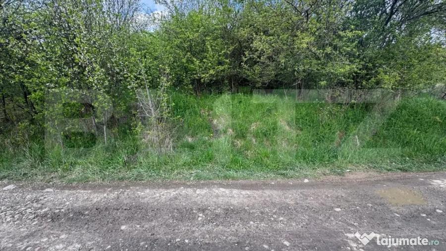 Teren extravilan de vanzare, 2.670 mp, Bistrita - 5