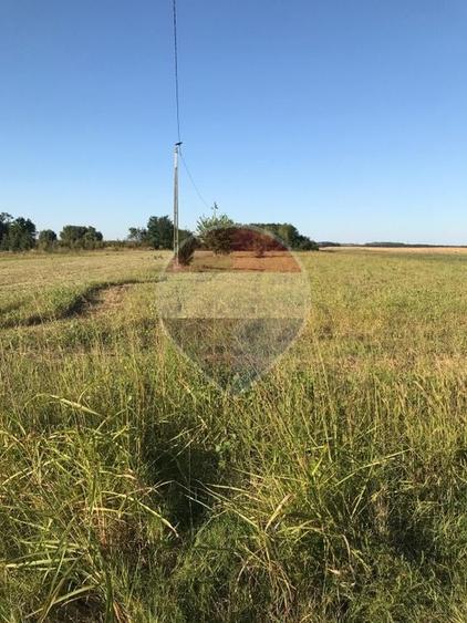 Teren agricol intravilan de 3200 mp, în Crivăț