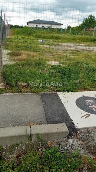 Vanzare teren 834mp Cernica,Tanganu, utilitati, strada asfaltata cu trotuar
