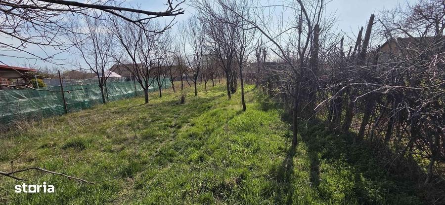 Spațiu comercial, în Bujac