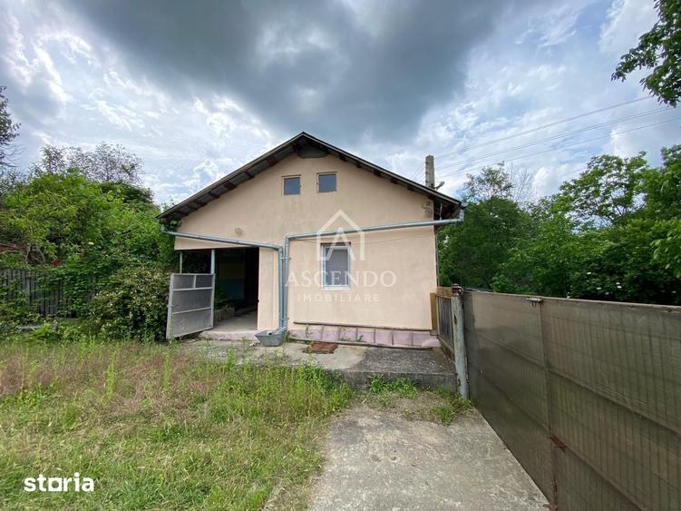 Teren de 15900 mp, în Năeni