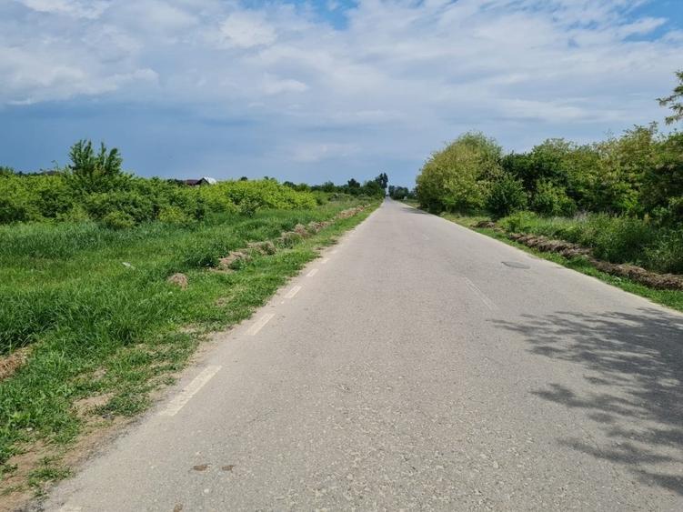 Teren agricol intravilan de 27100 mp, în Tărtășești