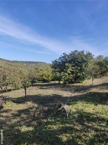 Teren de 1500 mp, în Podgoria