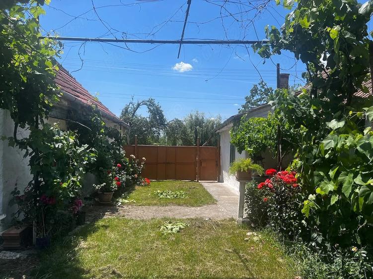 Casă cu Teren 2900 Mp în Jamu Mare