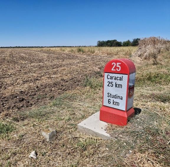 Teren agricol extravilan de 150000 mp, în Brastavățu