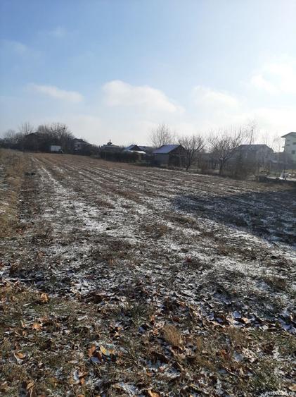 Teren de 1160 mp, în Jilava