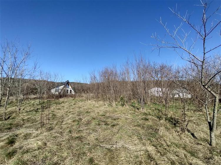 Teren Construcții intravilan de 3800 mp, în Vest