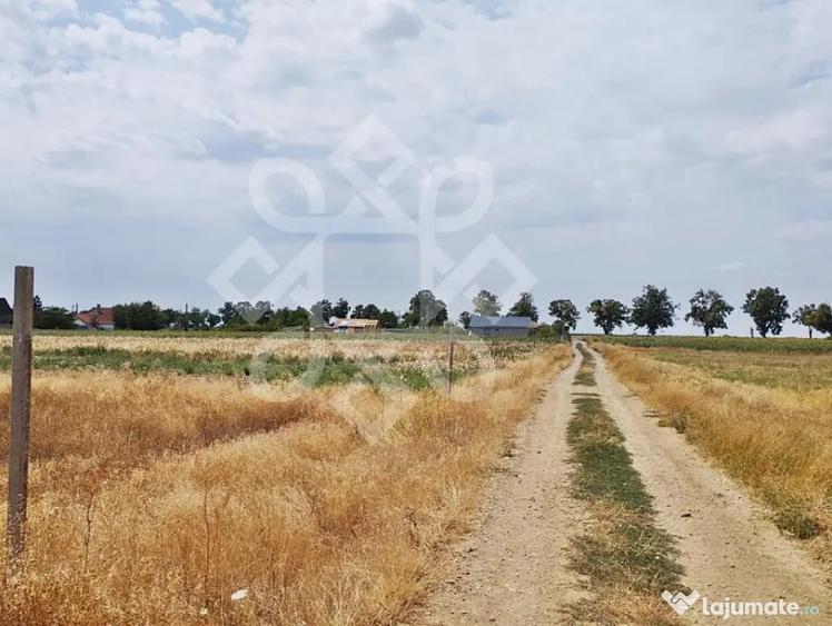 Teren intravilan de vanzare, 3000 mp in Gepiu, Bihor - 5