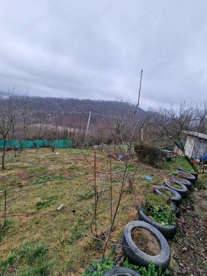 Teren de 981 mp, în Central