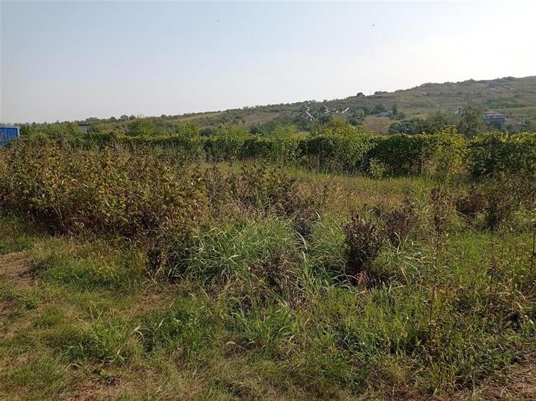 Teren Construcții intravilan de 1008 mp, în Tomești
