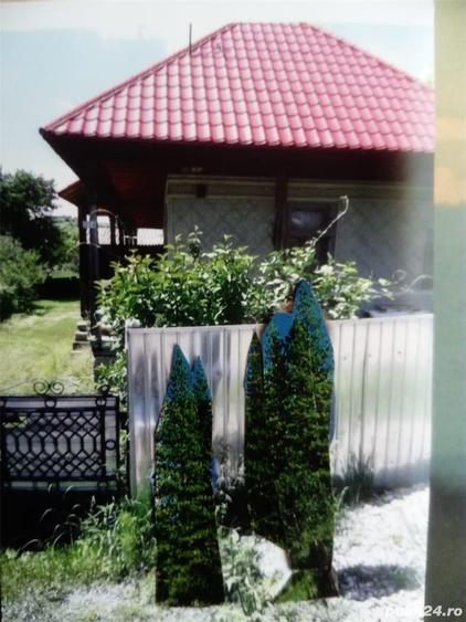 Casă cu 3 camere cu Teren 2300 Mp în Bârsănești
