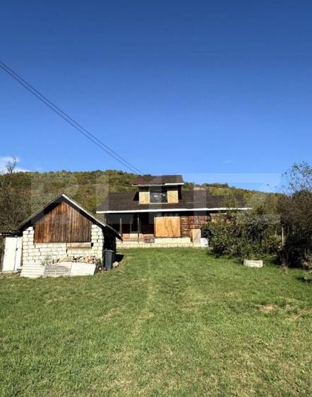 Teren Construcții intravilan de 4361 mp, în Șintereag